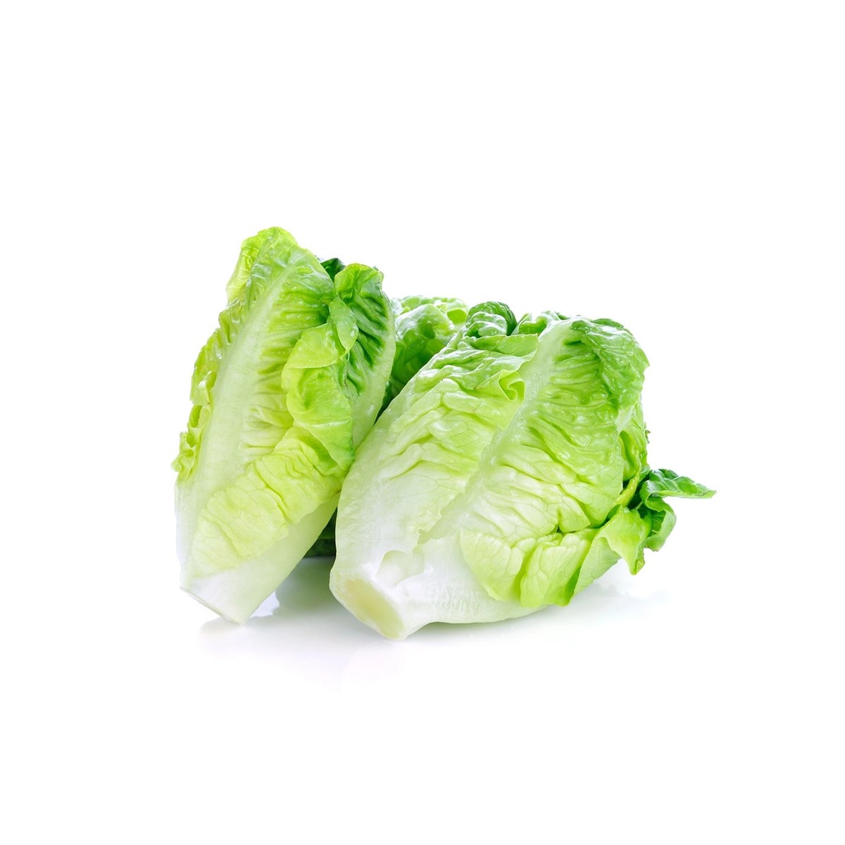 生菜1斤装有机蔬菜检测无农药残留