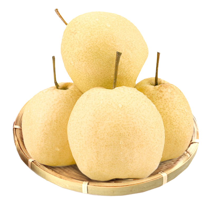 正宗山西贡梨脆甜爆汁梨子新鲜采摘当季